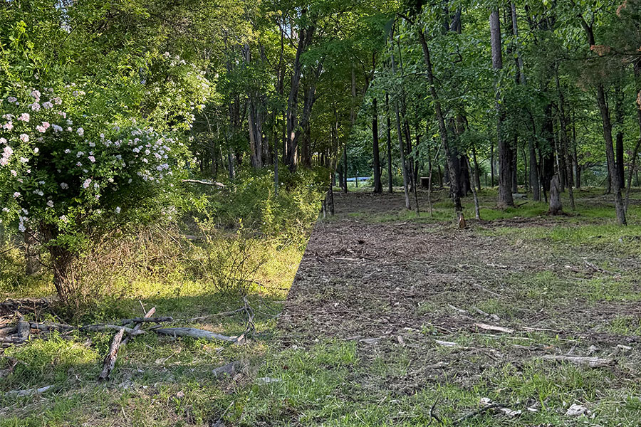 Before and after land clearing and brush removal project in NJ